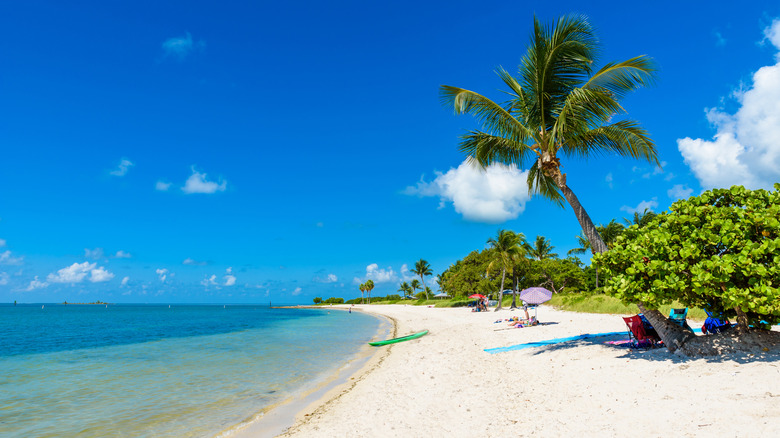 Sombrero Beach in Marathon