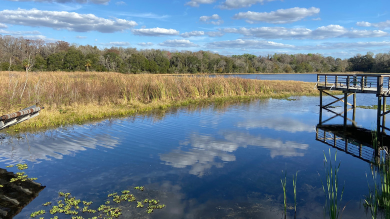 A lake in Inverness, Florida