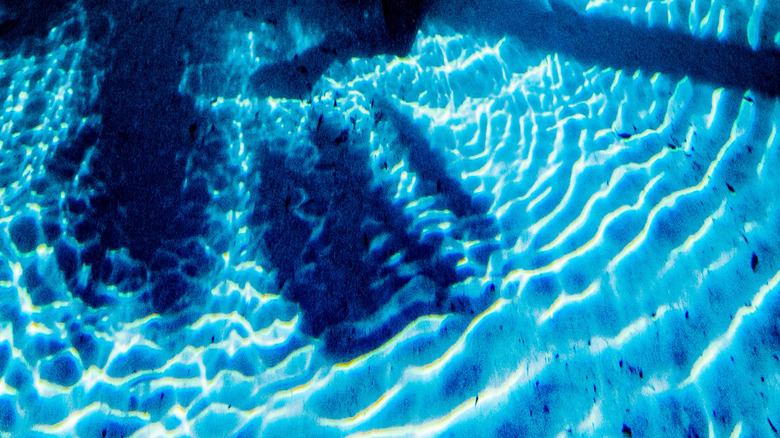 Scuba diving in Rainbow Springs State Park