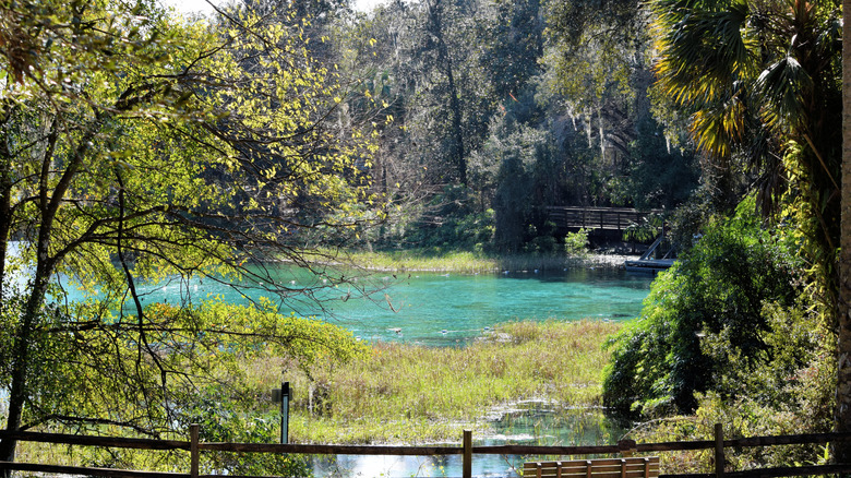 The gardens at Rainbow Springs in Dunnellon