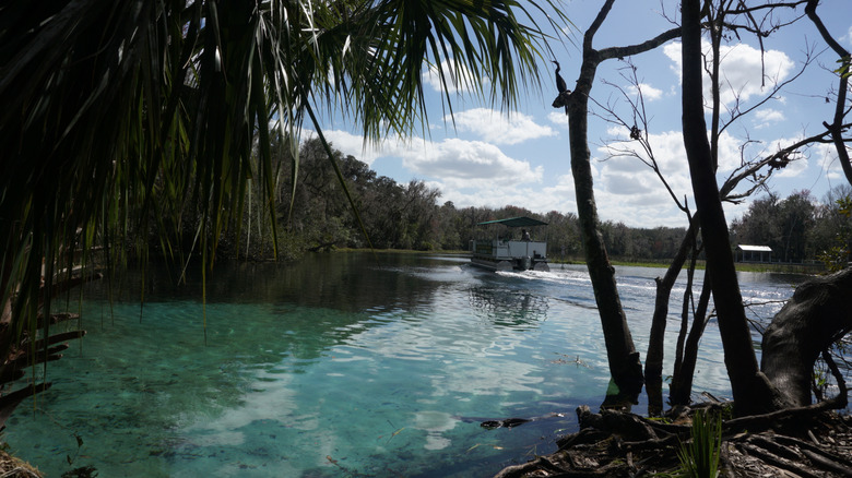 View of Rainbow River in Dunnellon, Florida