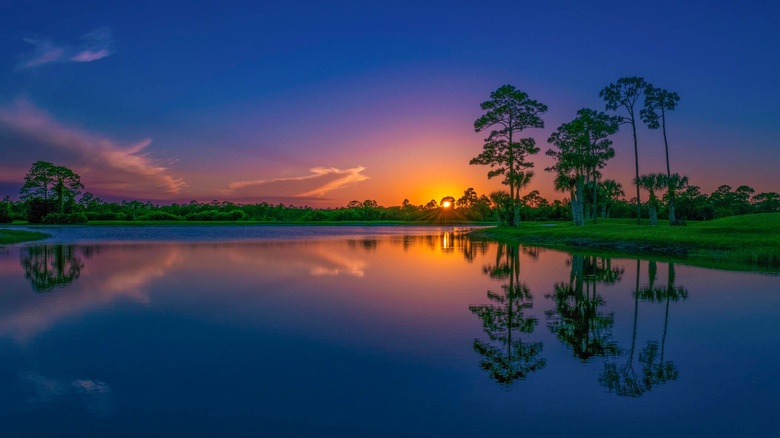 Sunset with vibrant purple and gold and orange colors behind tall trees and a lake ringed with green vegetation at Atlantic Ridge Preserve in Florida