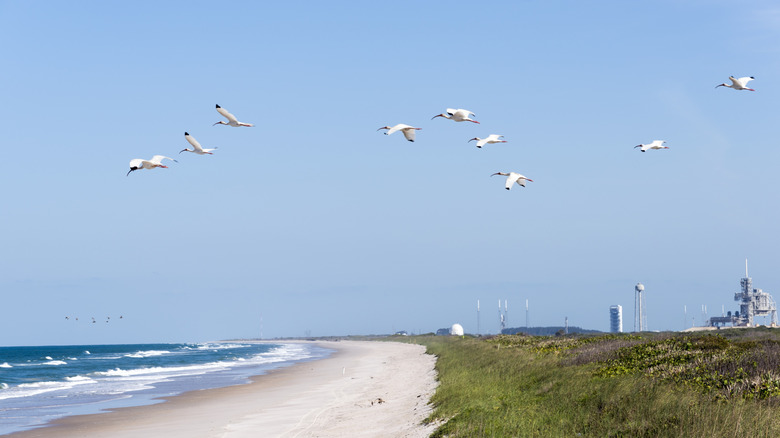A view of Playalinda Beach in Titusville