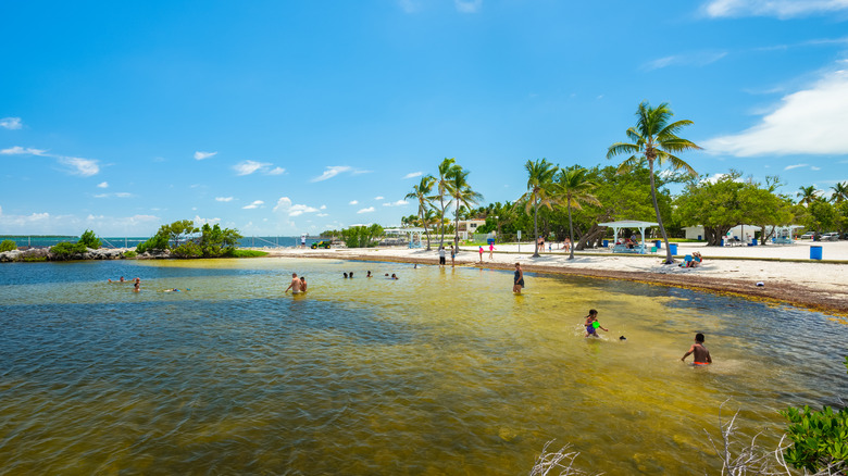 Beachgoers swimming in Key Largo, Florida