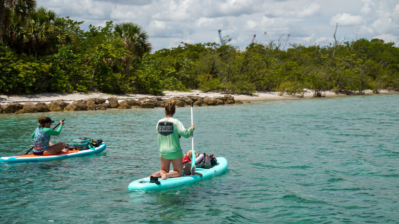 two people on paddleboards out on the water