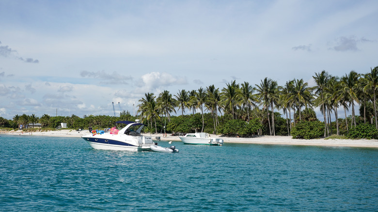boats parked by sandy island with palm trees
