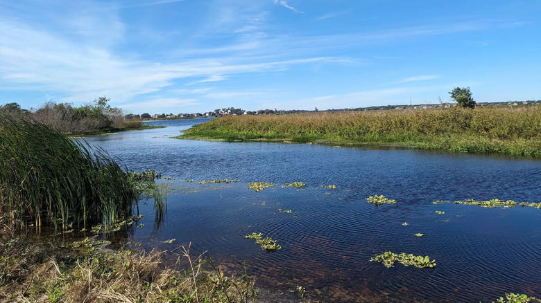 Florida's Under-The-Radar Lake Outside Orlando Is The Perfect Spot For Bass Fishing And Paddling