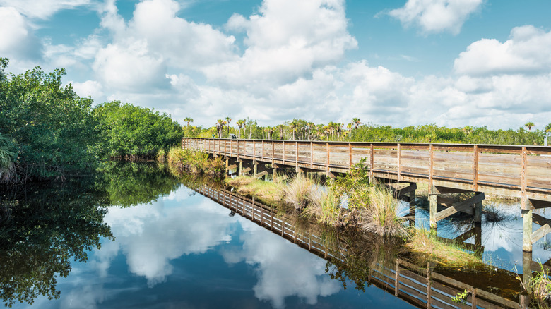 Fakahatchee Strand State Preserve