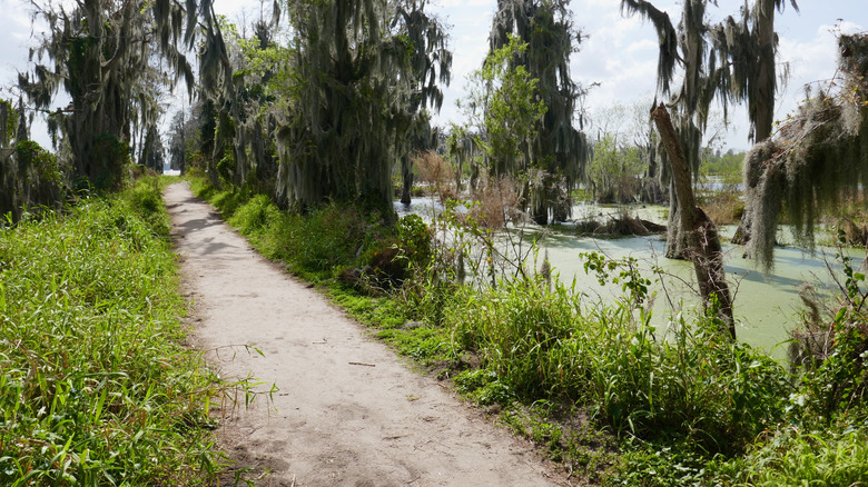 Alligator Alley Trail at Circle B Bar Reserve in Florida