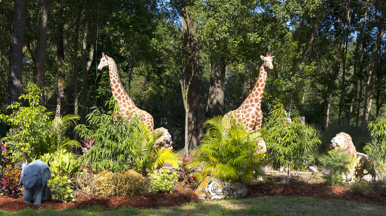 A view of a garden in Gotha, Florida