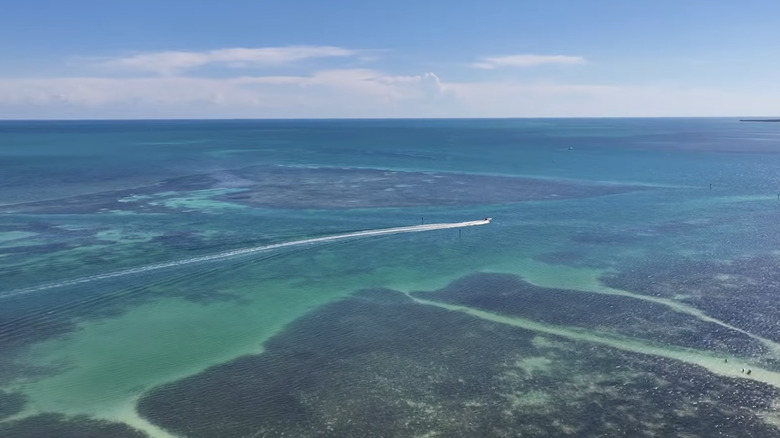 Aerial view of San Pedro Underwater Archaeological Preserve State Park location