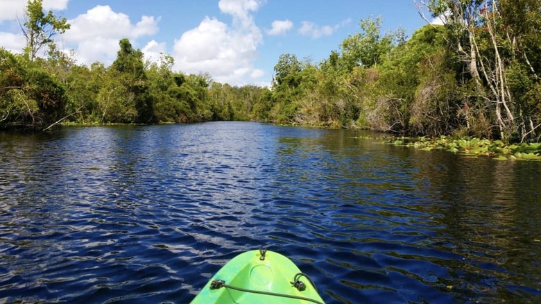 Paddling at Lake Griffin State Park