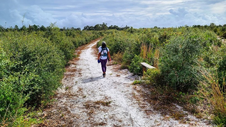 person hiking on trail