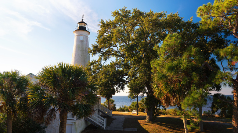 The white lighthouse at St. Marks National Wildlife Refuge in Florida surrounded by trees and backed by a blue sky.