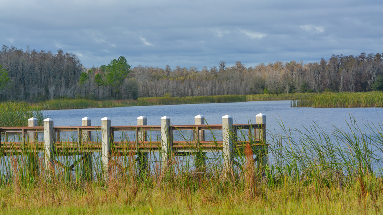 Pier in Colt Creek State Park