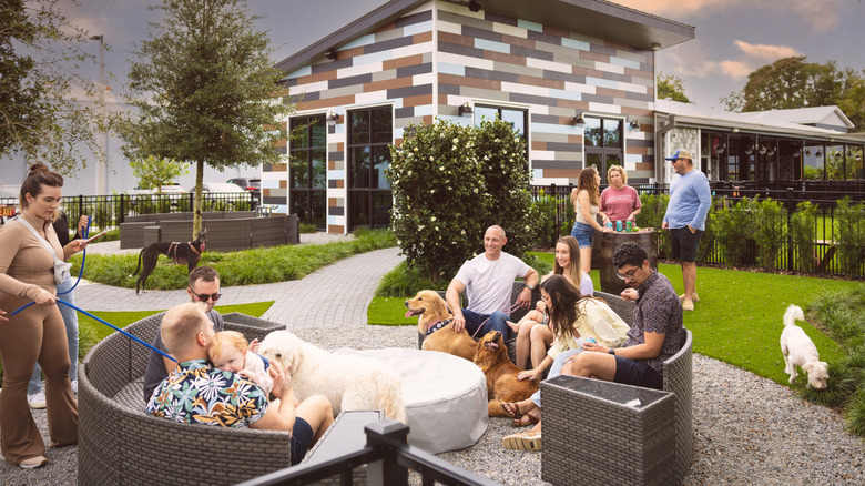people and dogs sitting outside at Barkhaven Dog Bar
