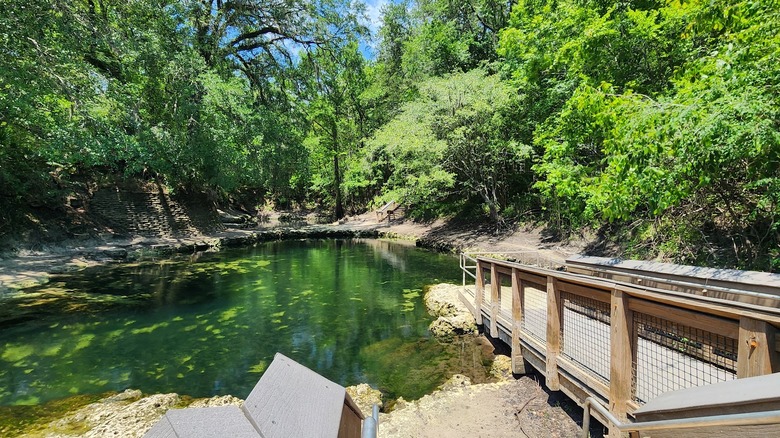 Lafayette Blue Springs State Park in Florida
