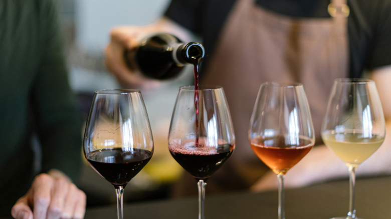 Wine tasting with different grape varieties
