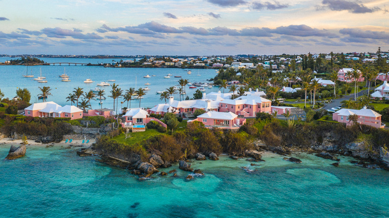 signature pink houses line Bermuda's lush coastline
