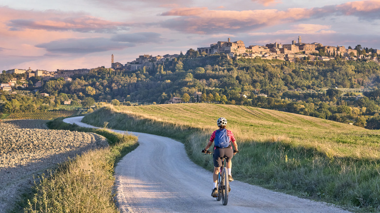 Cycling past olive trees in Chianti, Italy