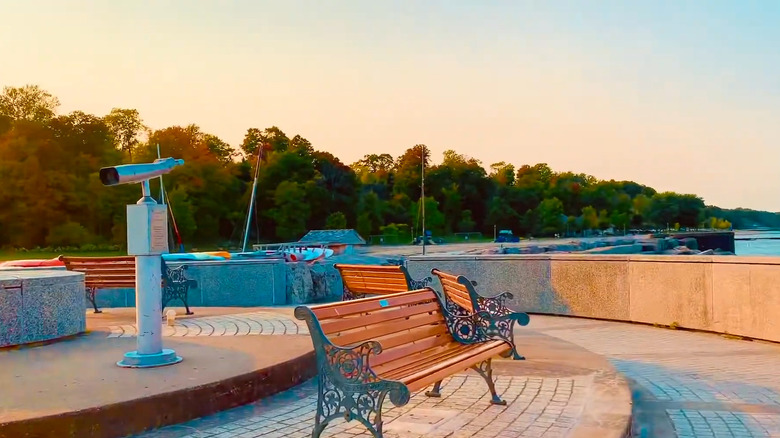 Forest Park Beach viewing area and shoreline