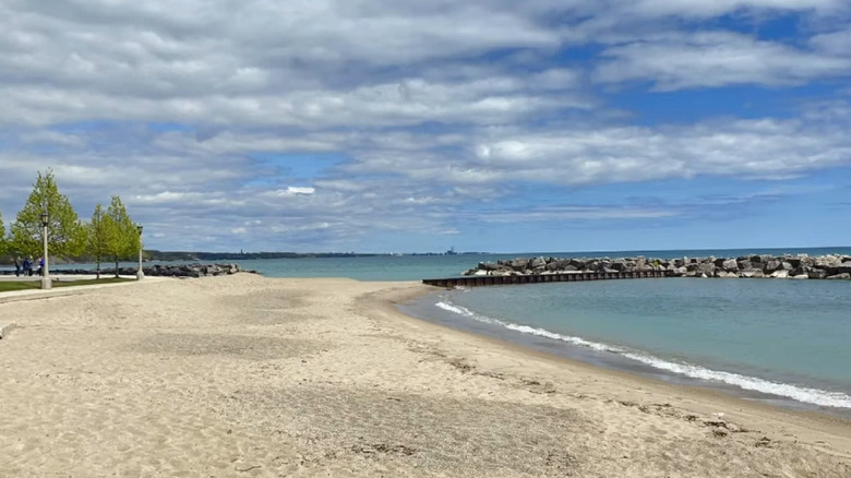Forest Park Beach area with clear blue waters
