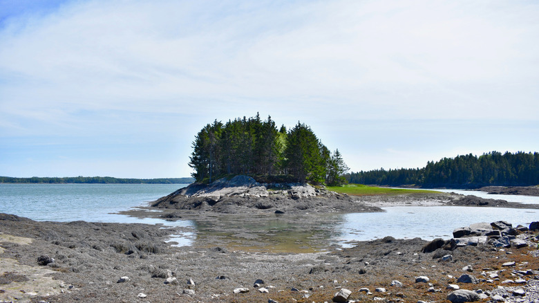Low tide at Cobscook Shores, Maine