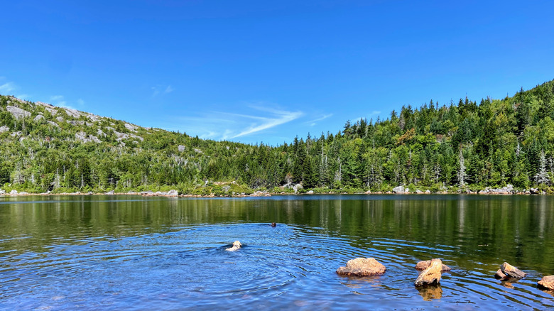 View of Tumbledown Pond, the alpine lake on Tumbledown Mountain