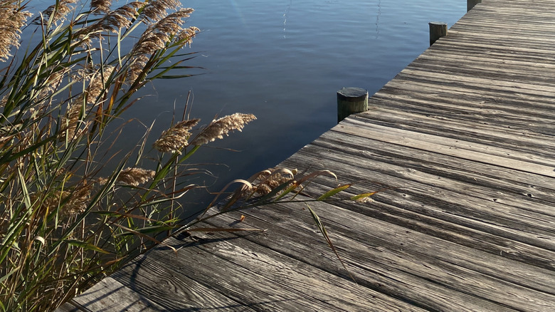 wooden dock on Kent Island, Maryland