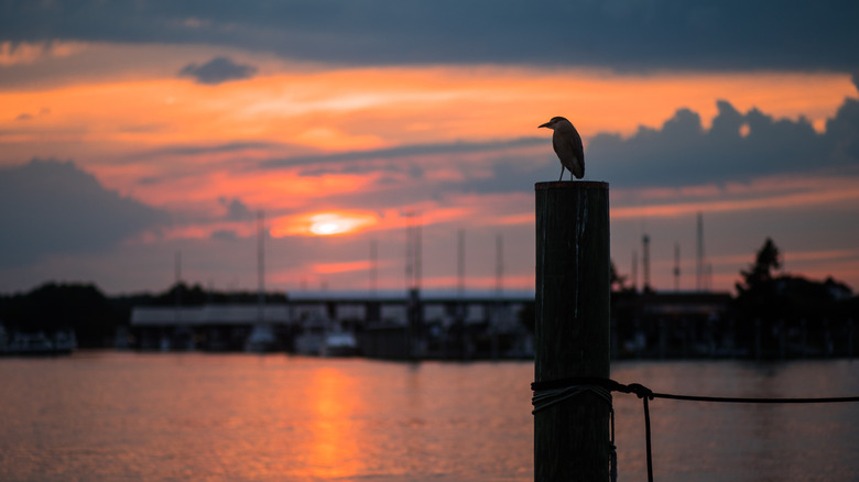 Sun sets over docks at Kent Island, Maryland