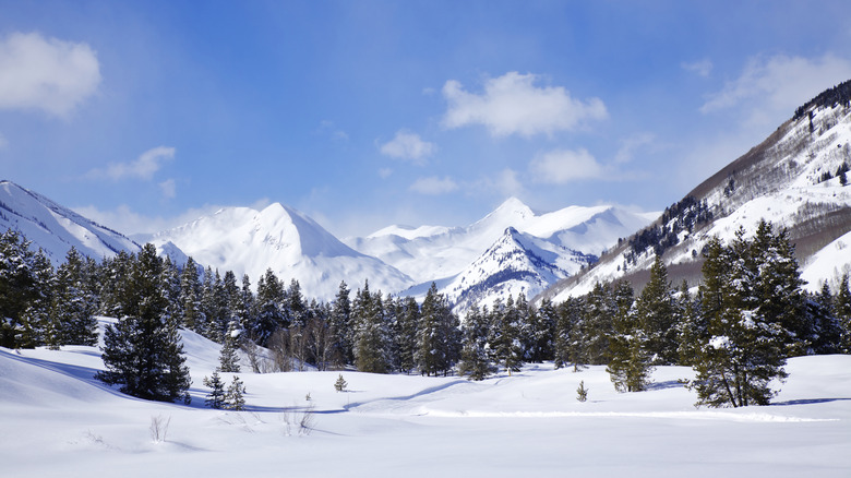 snowy mountains around Crested Butte