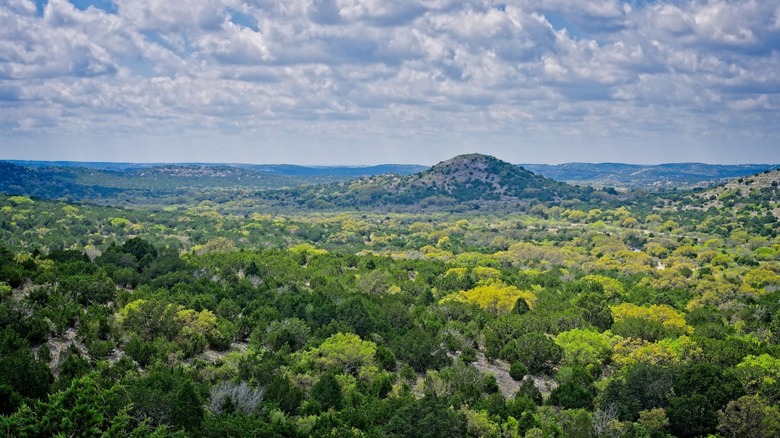 A view point overlooking expansive, shrub-dotted hills at Kickapoo Cavern State Park