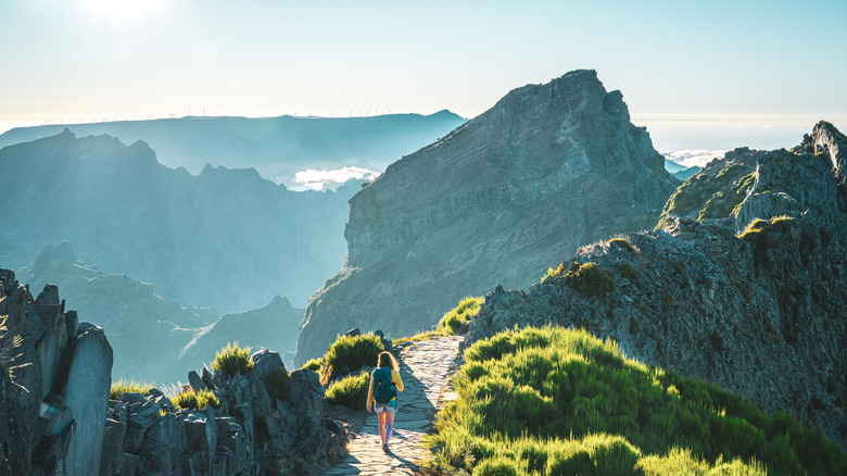 View of hiker along the PR1 Vereda do Areeiro