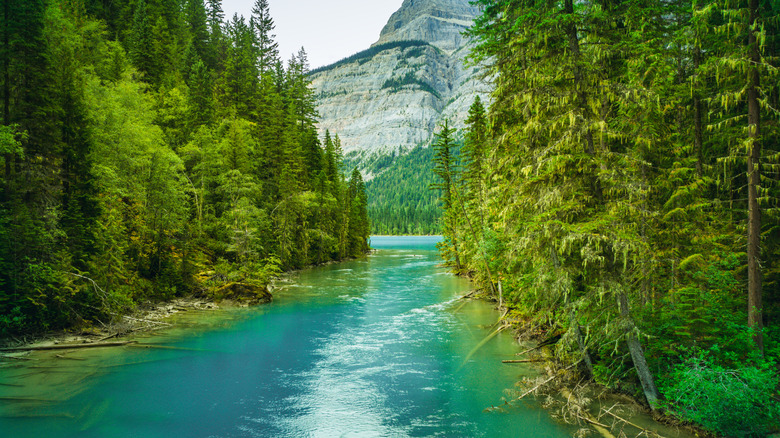 Kinney Lake's turquoise waters flanked by evergreen trees