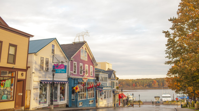 Colorful Victorian storefronts going down to the water
