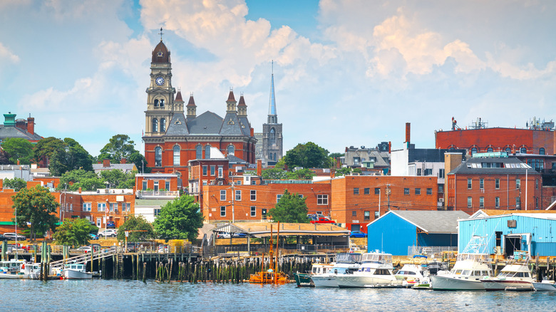 Skyline with churches and brick buildings in front of the harbor
