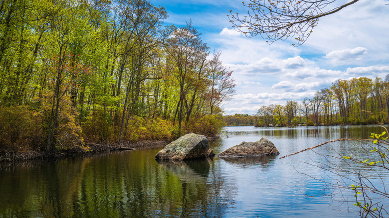 Olnoy Pond in Lincoln Woods State Park  on a cloudy day in Lincoln, RI