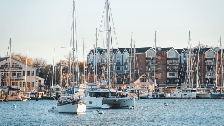 Boats in the Annapolis Harbor in the Eastport neighborhood of Annapolis in Maryland