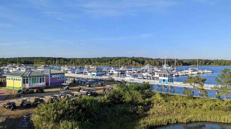 A harbor with boats on the water and green trees in the background in Cape Charles.