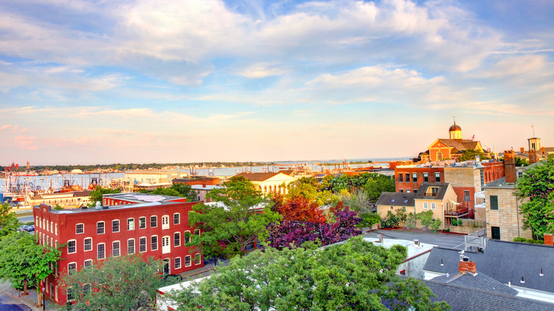 Aerial view of New Bedford, Massachusetts colorful red and rust buildings, with green trees and vibrant flowers