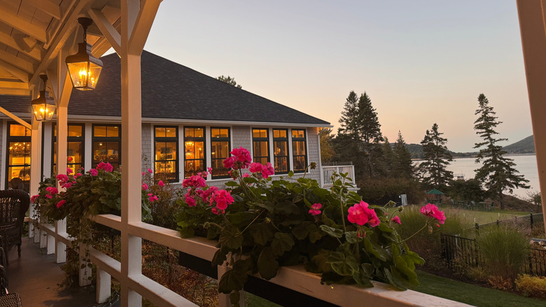 Flowers on an accommodation in Southwest Harbor, Maine