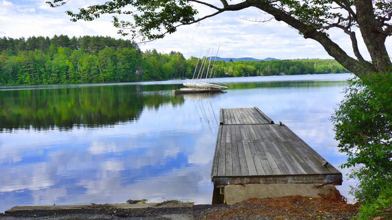Wooden dock at Megunticook Lake, with sailboats on the water surrounded by forest
