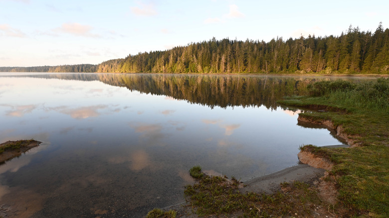 Lake Ozette in Washington's Olympic National Park