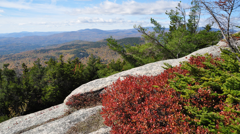 Granite slabs, fall foliage, and mountain vistas along the Welch-Dickey Trail in New Hampshire's White Mountains