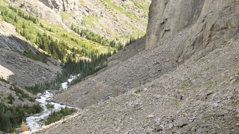 hiker on trail through rocky gorge with pine trees and river in Montana's Absaroka-Beartooth Wilderness