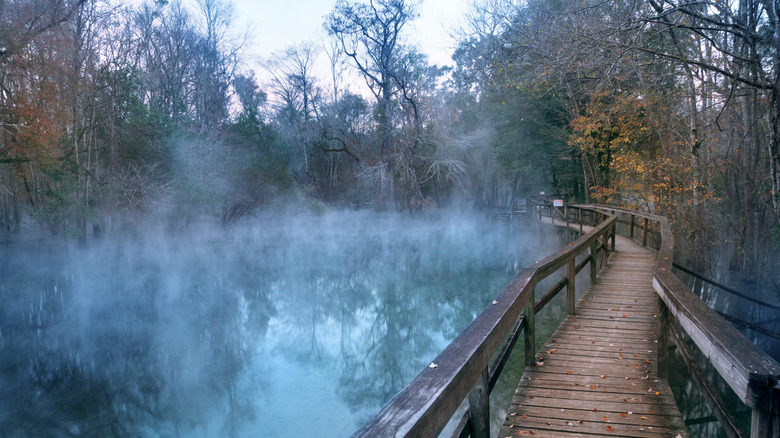 A wooden boardwalk cuts across a misty wetland at Ruth B. Kirby Gilchrist Blue Springs State Park.