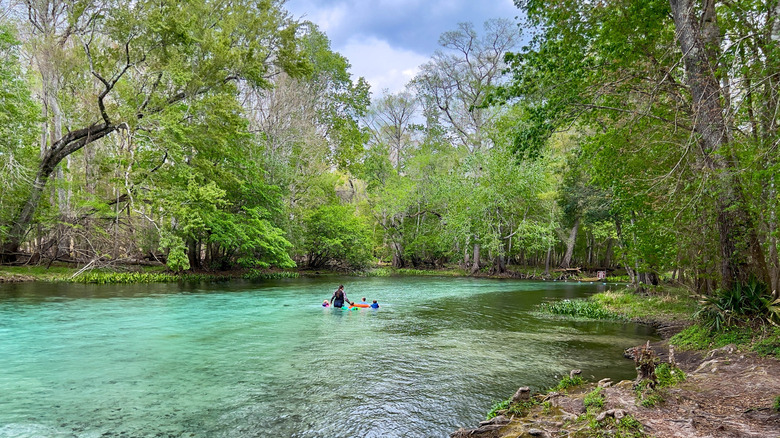 A family swims in the crystal-clear water of Ruth B. Kirby Gilchrist Blue Springs State Park