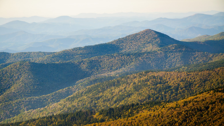 Mount Mitchell State Park near Asheville, North Carolina