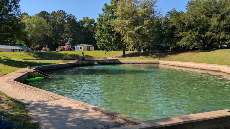 One of the pools fed by springs with crystal-clear waters at Blue Spring State Park, Alabama, with park amenities in the background