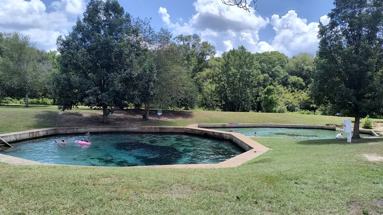 Two octagonal swimming pools fed by natural springs with clear-blue waters at Blue Springs State Park, Alabama
